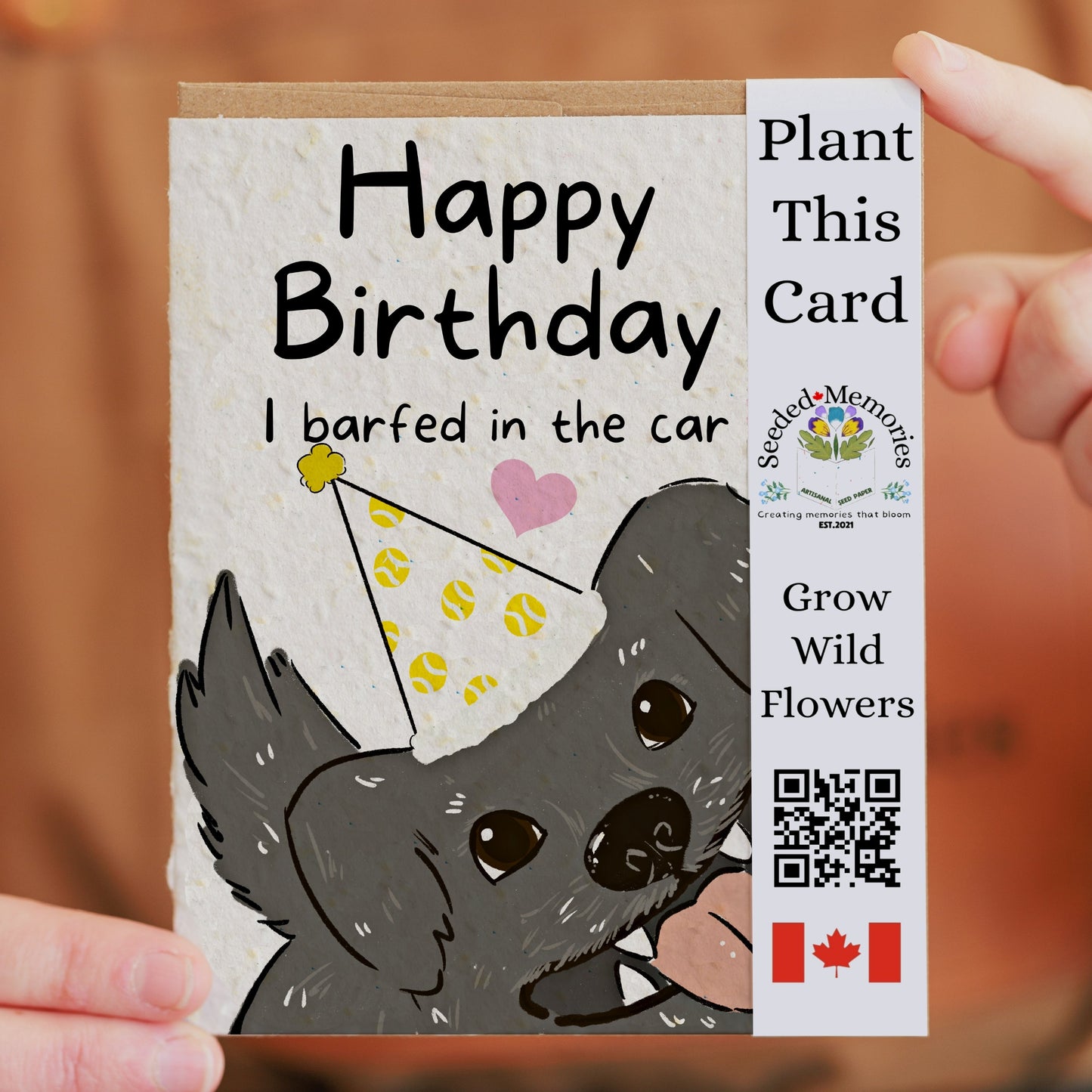Birthday - I Barfed in the Car