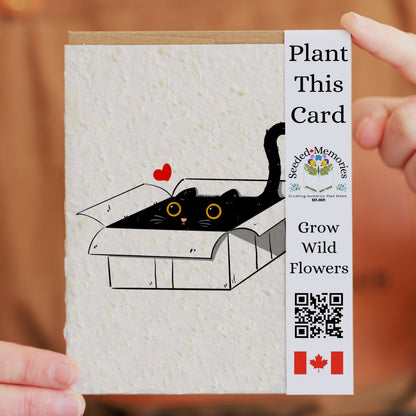 Pets - Cat in the Box