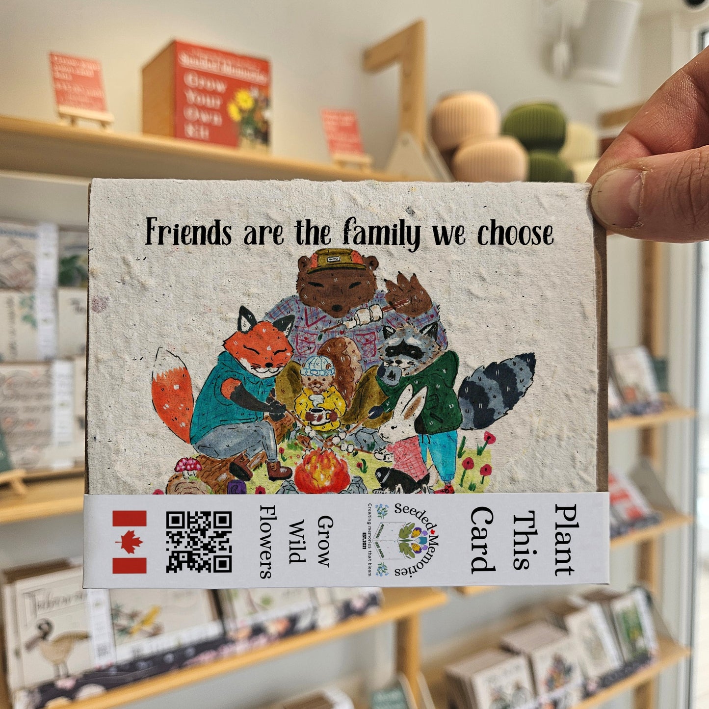 All Occasion - Friends are the Family We Choose