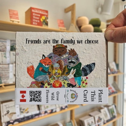All Occasion - Friends are the Family We Choose