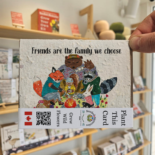 All Occasion - Friends are the Family We Choose