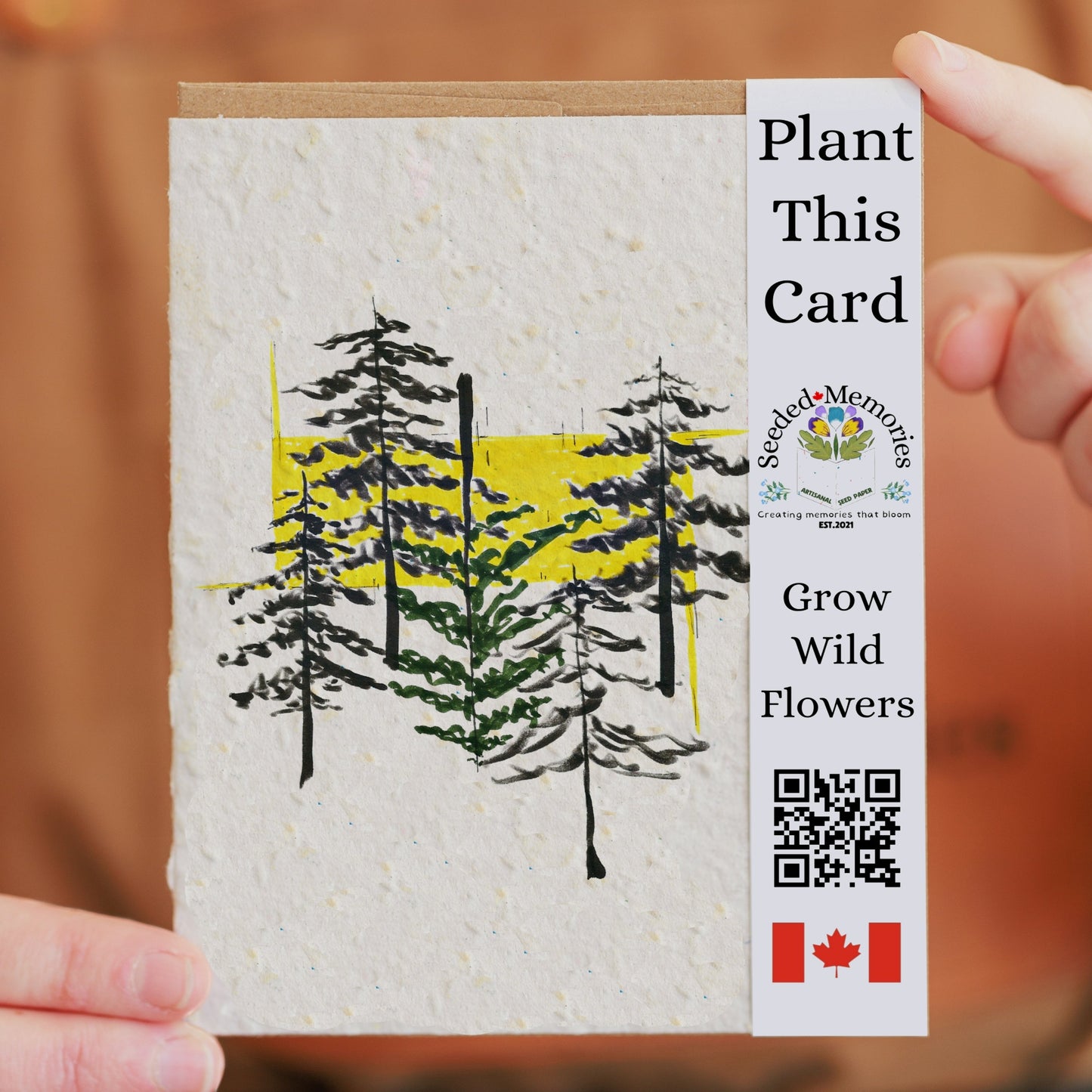 Nature & Wildlife - The Pine Trees