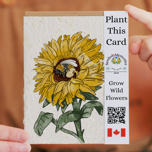 Nature & Wildlife - Bee and the Sunflower