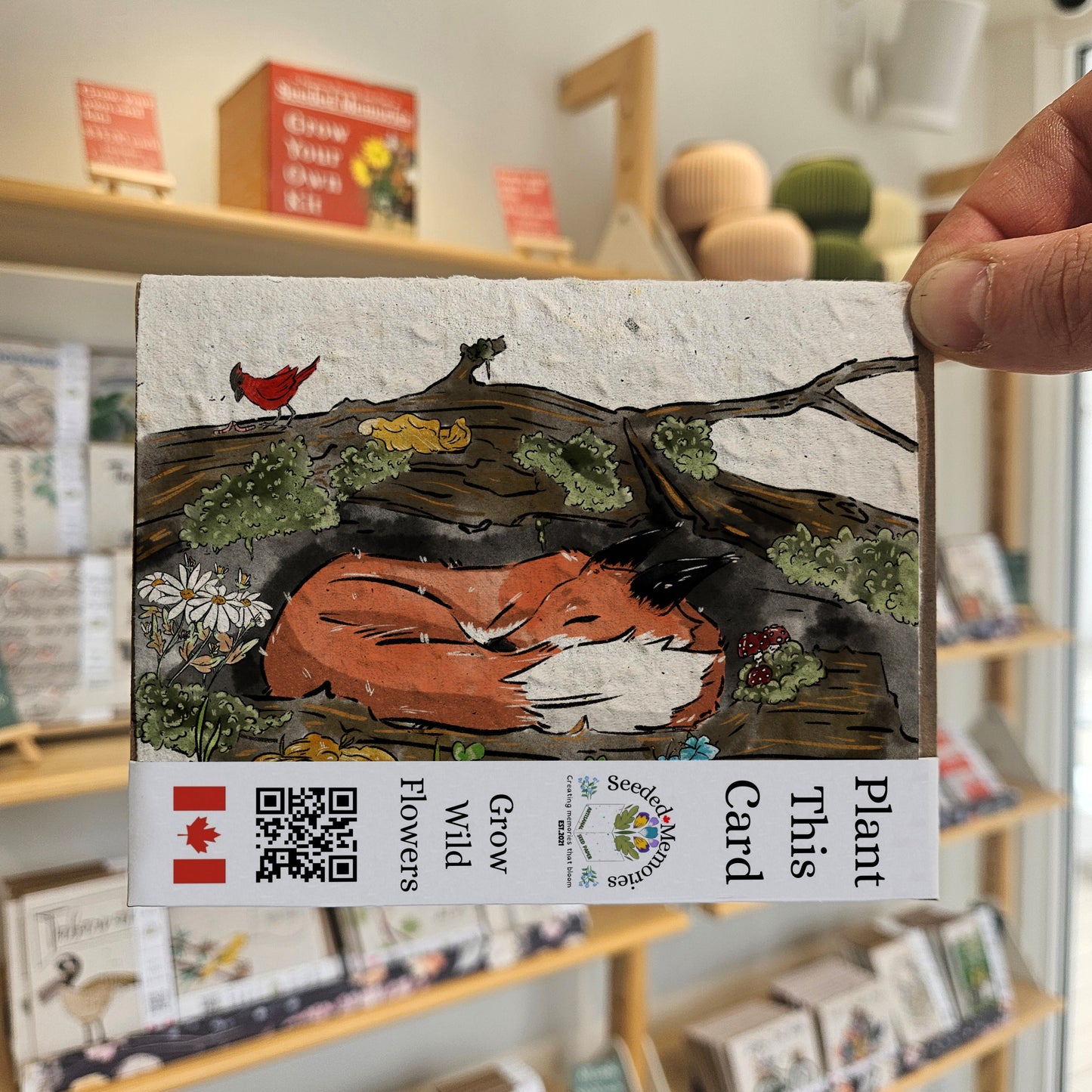 Nature & Wildlife - The fox in the Tree