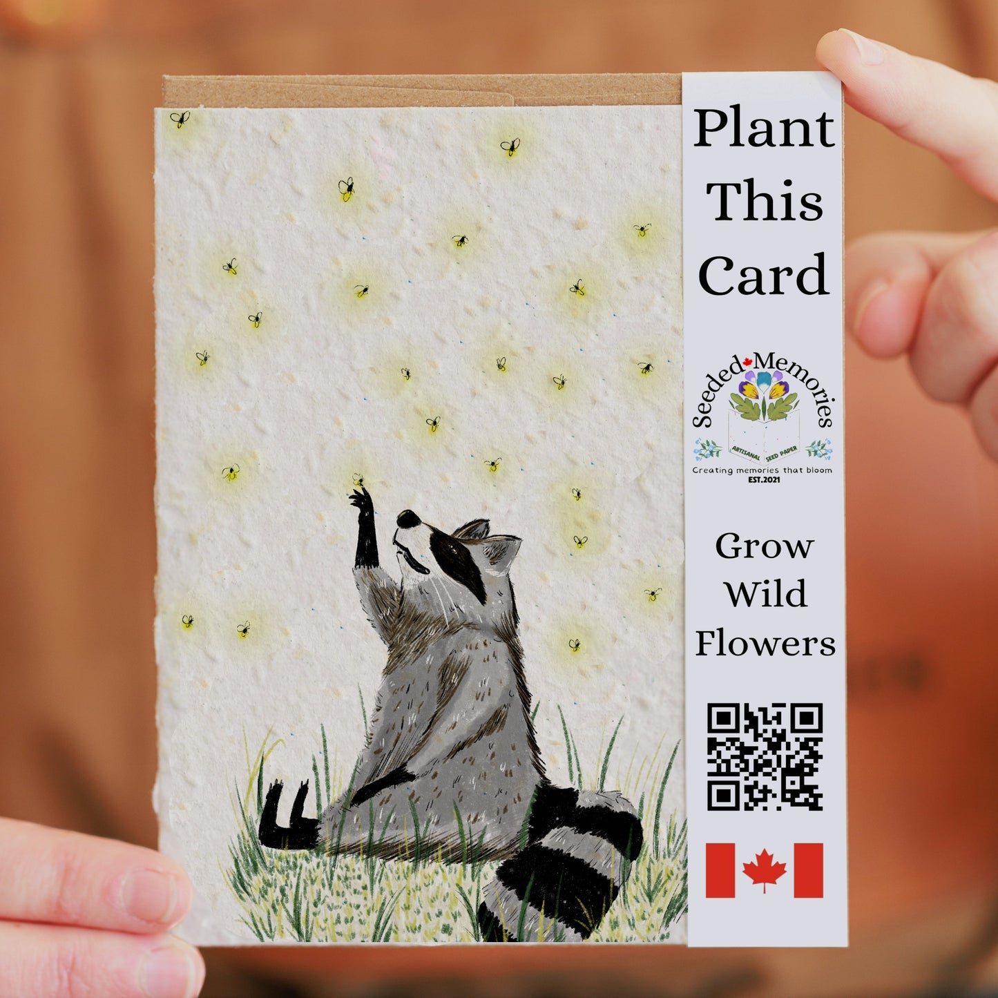 Nature & Wildlife - Racoon and Fireflies