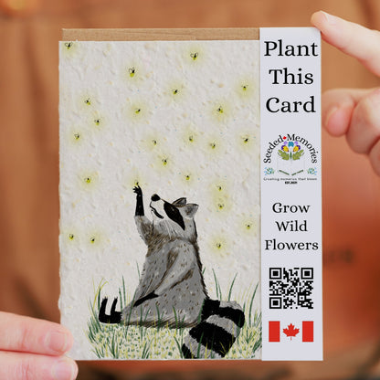 Nature & Wildlife - Racoon and Fireflies