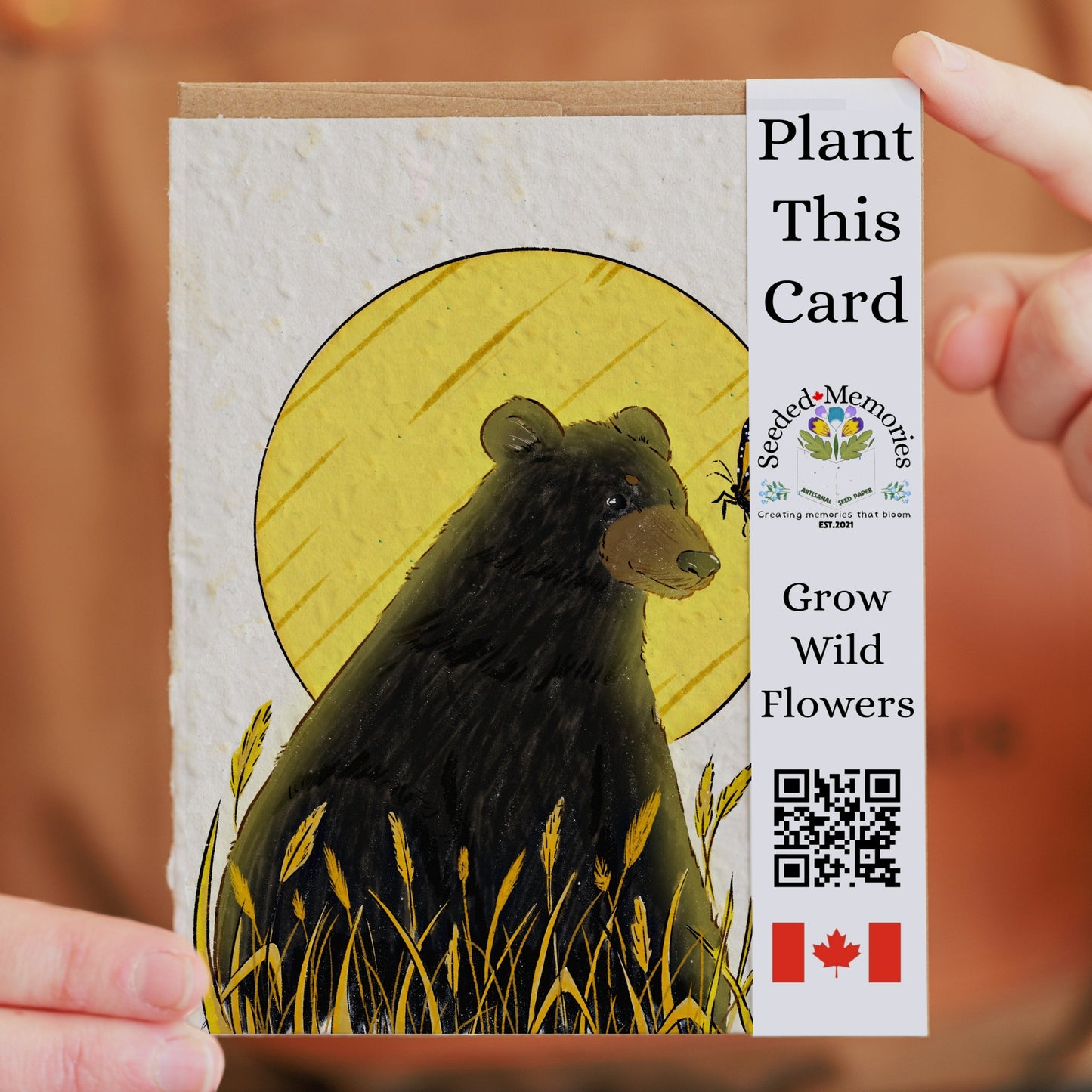 Nature & Wildlife - The Bear and the Butterfly