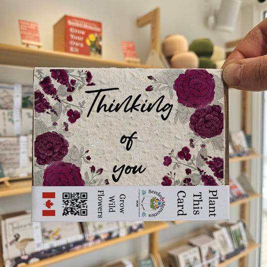 All Occasion - Thinking of you