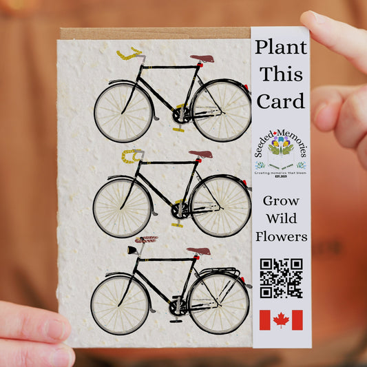 All Occasion - Cycle the World