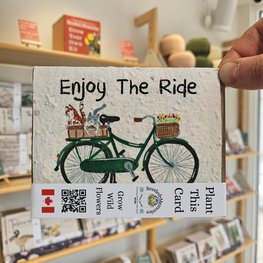 All Occasion - Enjoy the Ride