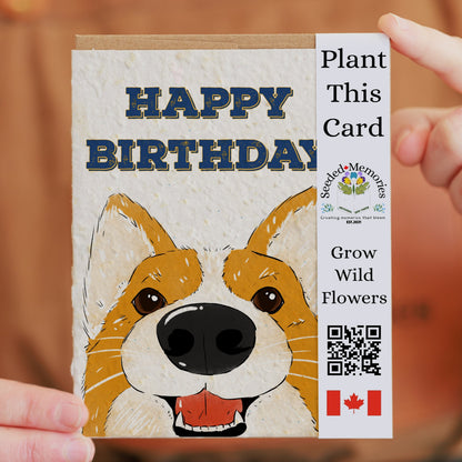 Birthday - Corgi Love