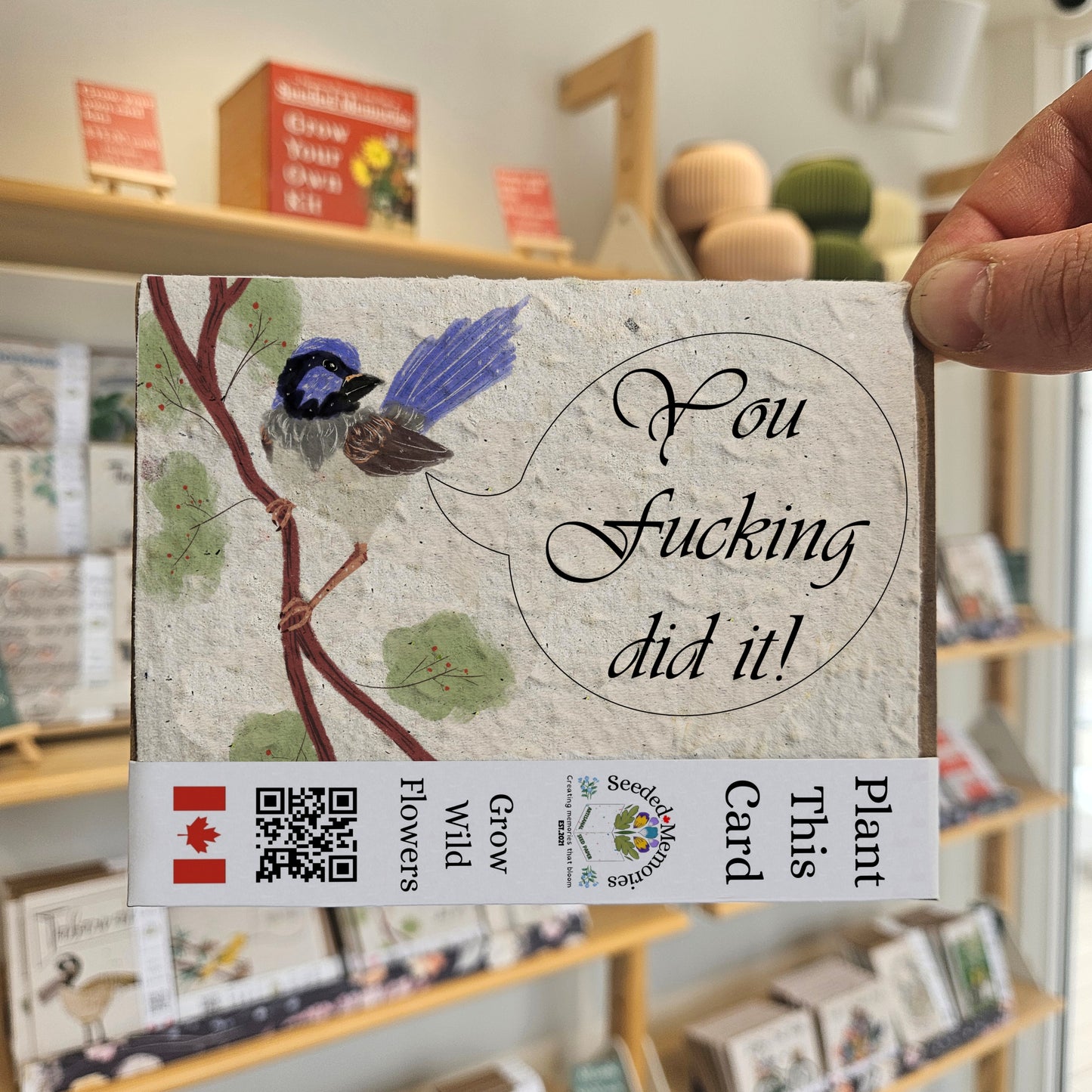 Rude birds - You Fucking Did It