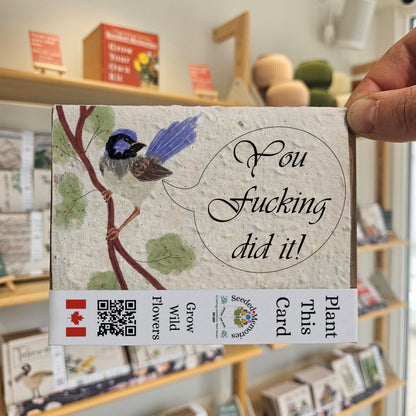 Rude birds - You Fucking Did It