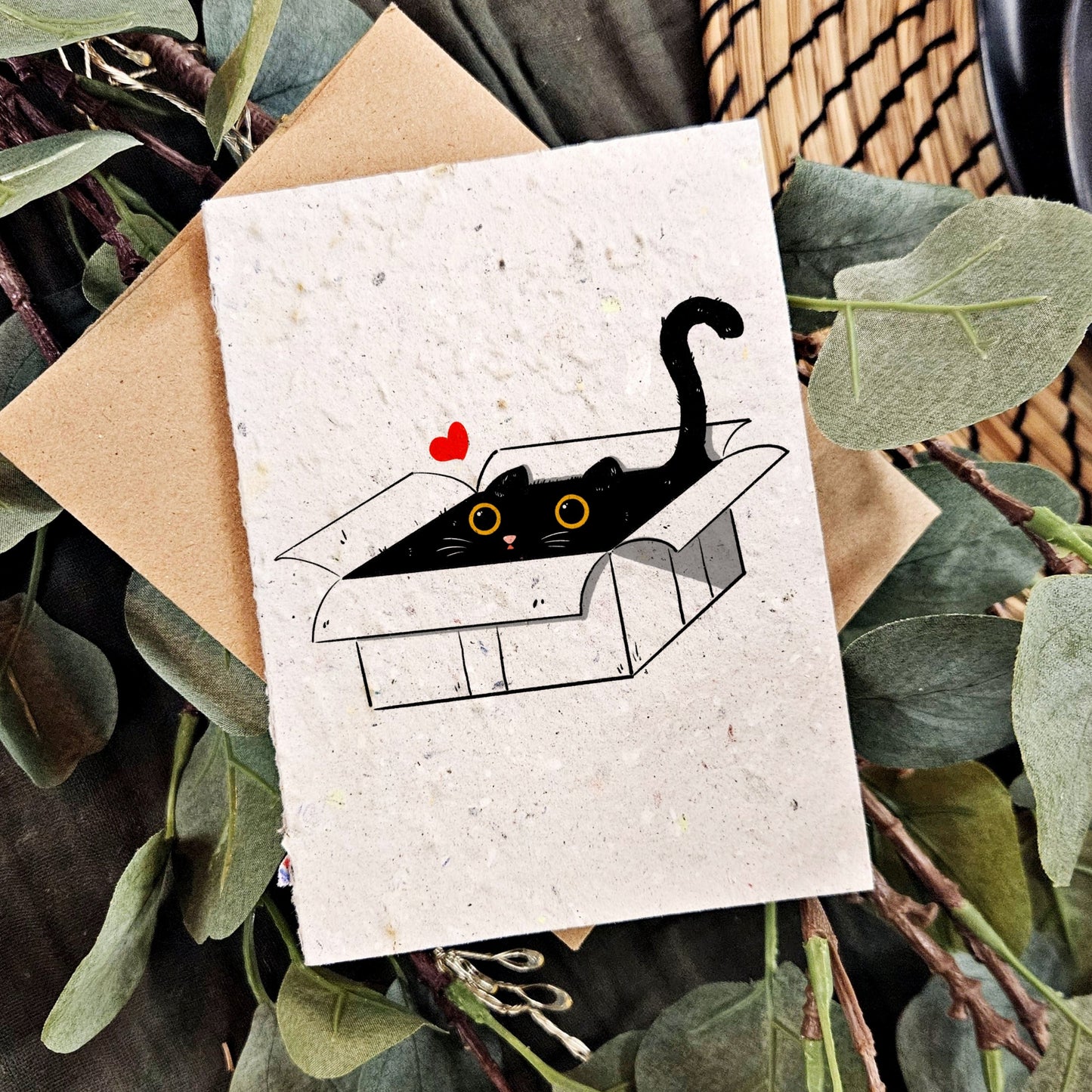 Pets - Cat in the Box