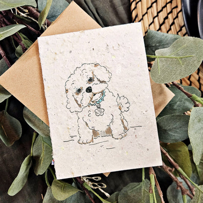 Pets - Fluffy dogo