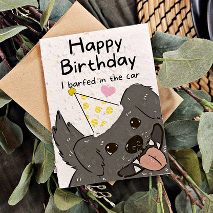 Birthday - I Barfed in the Car