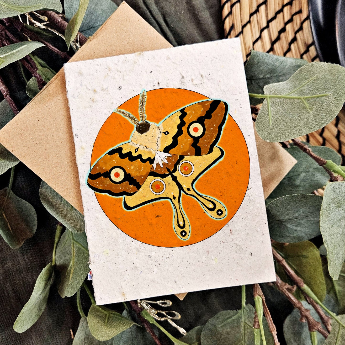 Nature & Wildlife - The Moth and the Sun