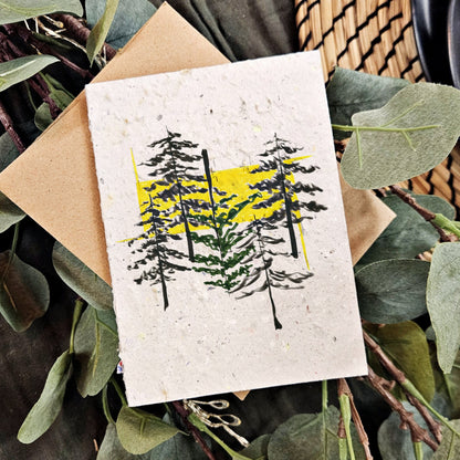 Nature & Wildlife - The Pine Trees