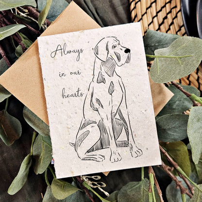 Sympathy -  Always in Our Hearts