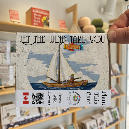 All Occasion - Let the wind take you to new adventures