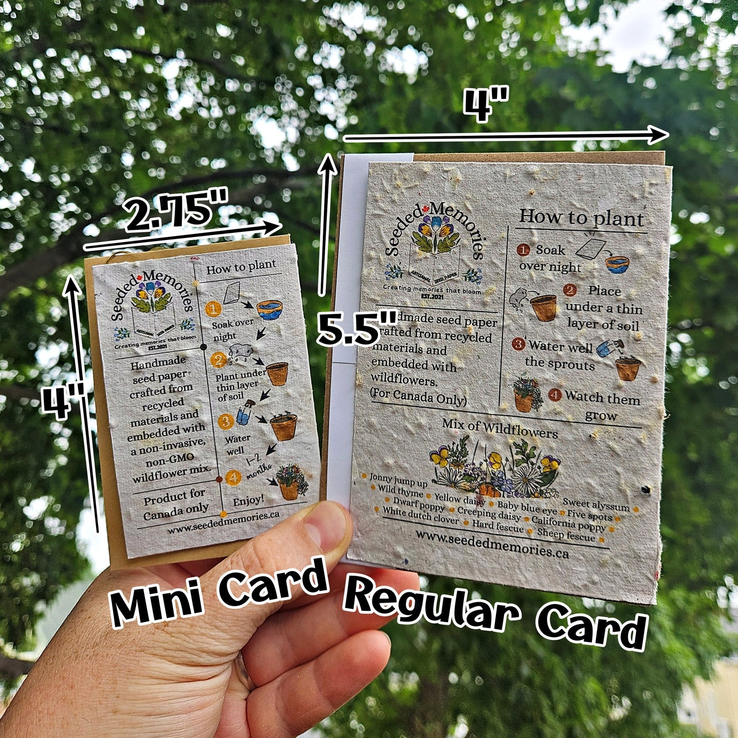 Mini Card - Racoon
