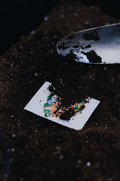 Mini Card - Good luck in your new adventure!