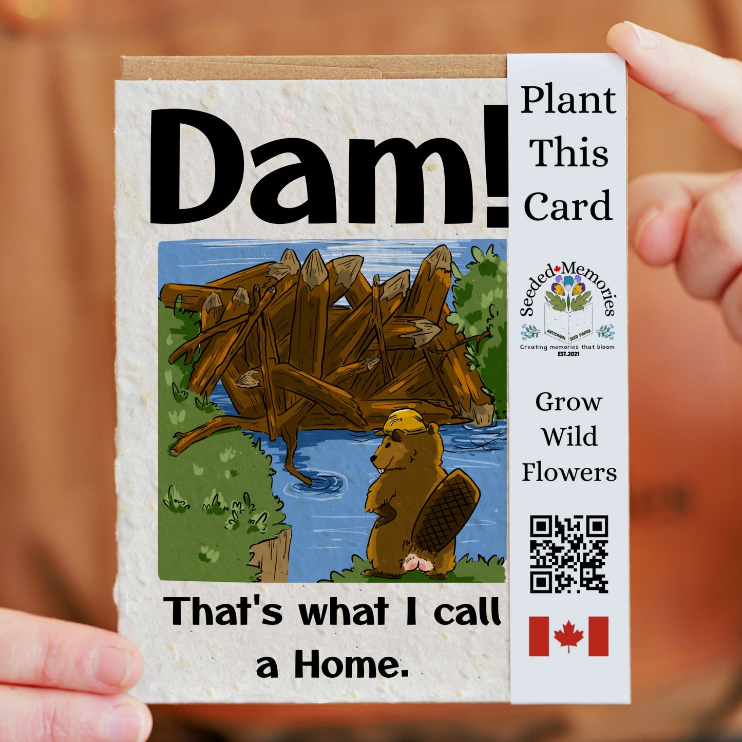 New home - Dam! That's what I call a Home