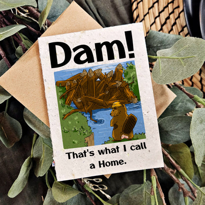 New home - Dam! That's what I call a Home