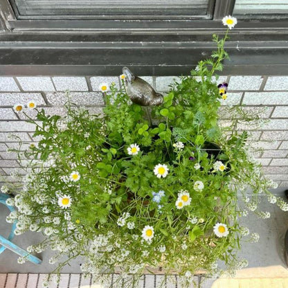 Mini Card - Good luck in your new adventure!