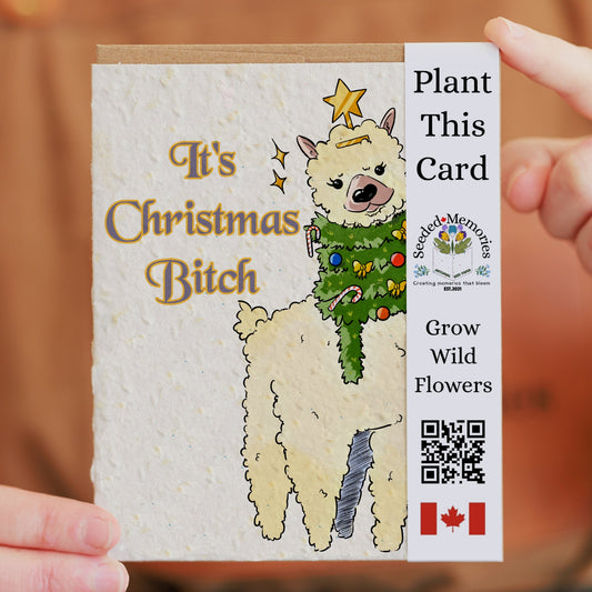 Christmas - It's Christmas Bitch!