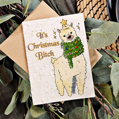 Christmas - It's Christmas Bitch!
