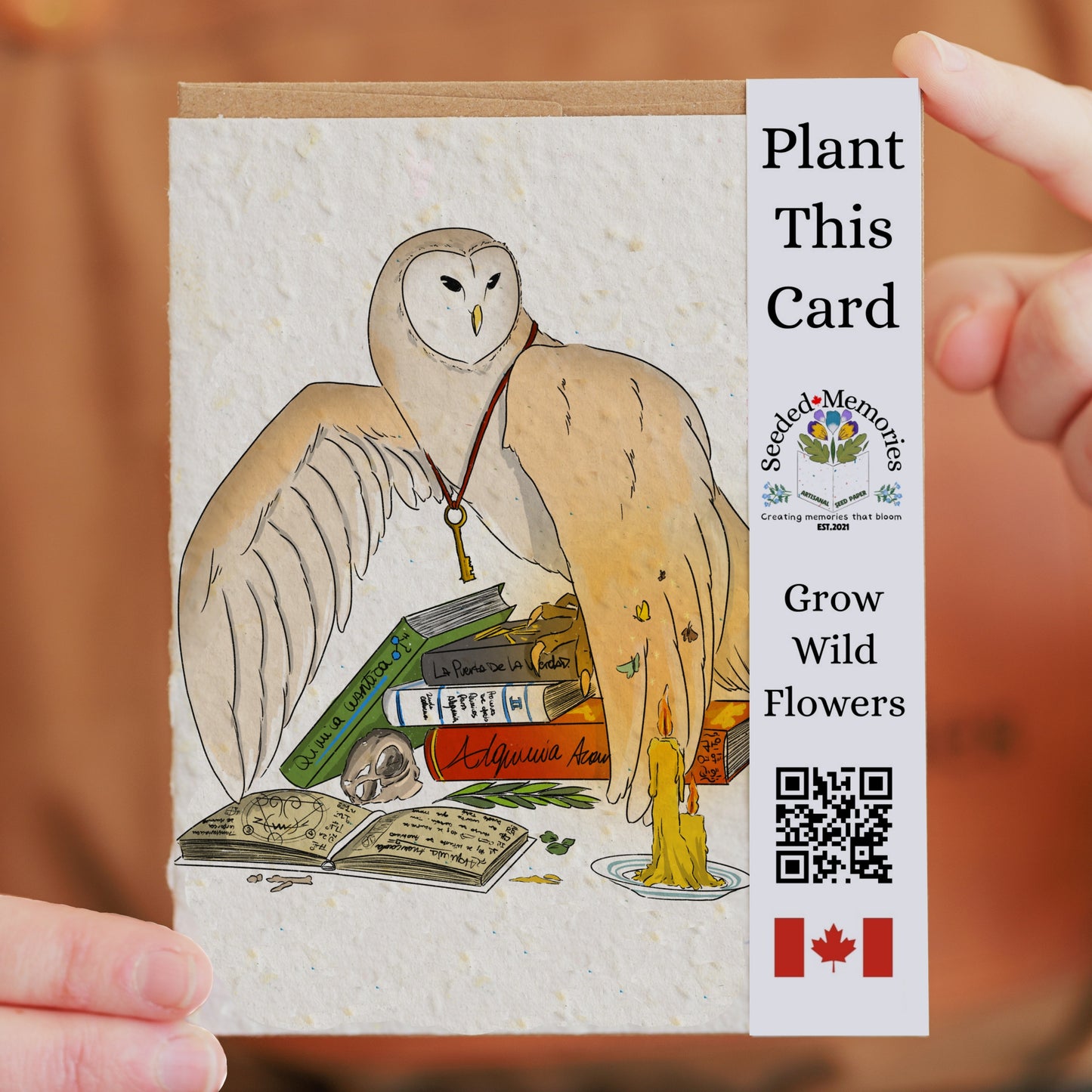 Nature & Wildlife - The Alchemist Owl
