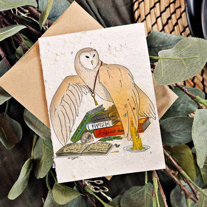 Nature & Wildlife - The Alchemist Owl