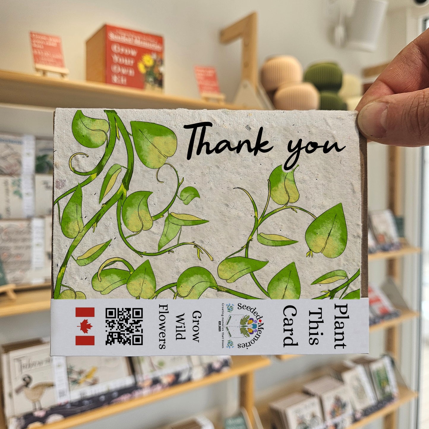 Thank you - Vines