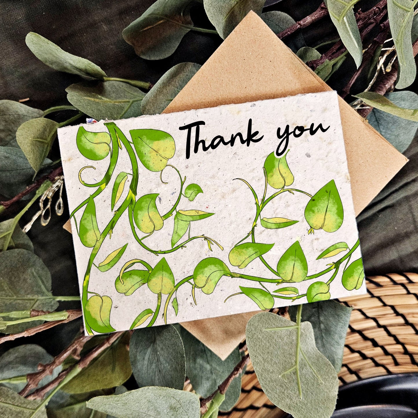 Thank you - Vines
