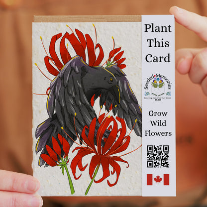 Nature & Wildlife - The Crow