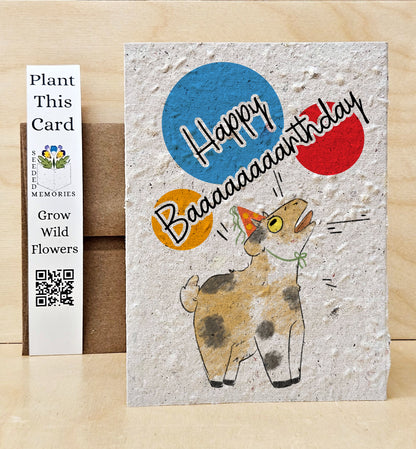 Mini - Birthday Goat (not actual photo, work inprogress)