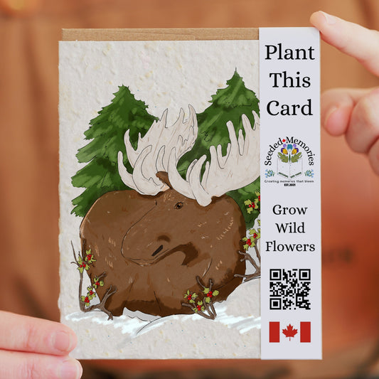 Nature & Wildlife - The Canadian Moose