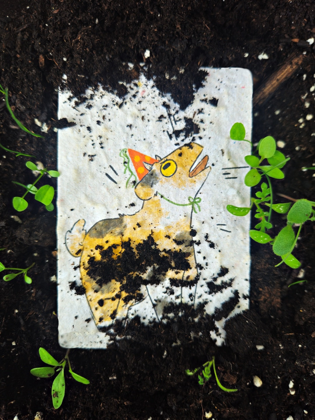 Mini Card - Fuck this shit!